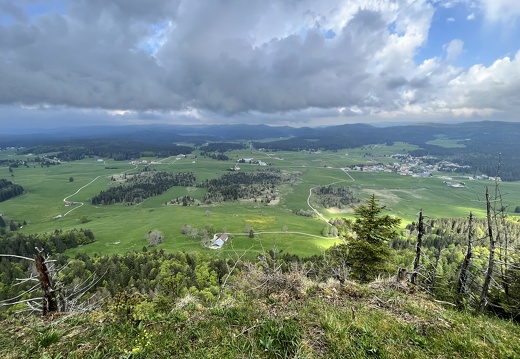 23-05-23 11-15-17 5581